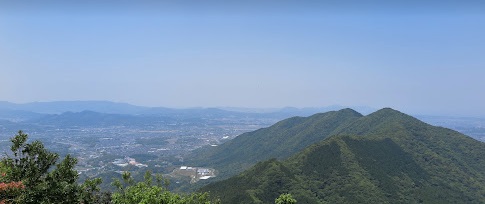 直方市　鳩駆除